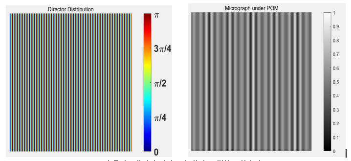 File:Liquid crystal molecule pointing vector distribution map and grayscale map under polarized light microscope.png