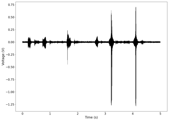 Original signal after band-pass filtering showing significantly less asymmetry.