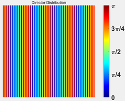 Figure 10. Liquid crystal molecule pointing vector distribution map and grayscale map under polarized light microscope