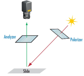 Angled Setup Schematic. A polarized light source is reflected off our sample at an angle, passed through an analyzer and finally recorded on our CCD array.