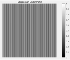 Figure 13. Grayscale images under polarized light microscope.png