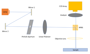 Schematic of microscope setup. The two mirrors facilitate beam alignment.